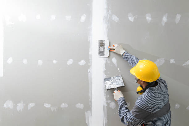Best Mold Documentation for Insurance Claims  in Parshall, ND