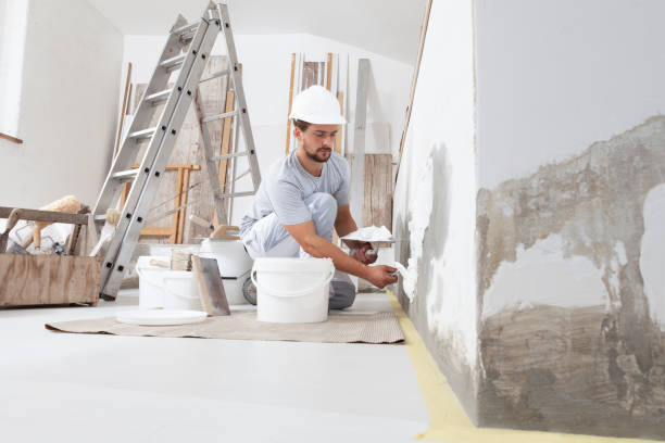 Reliable Parshall, ND Mold Removal Solutions