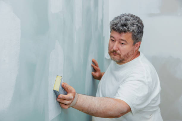 Mold Removal for HVAC Installations in Parshall, ND
